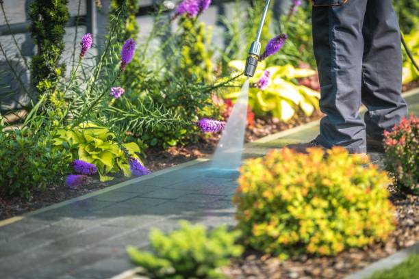 Best Gutter Cleaning  in Takoma Park, MD